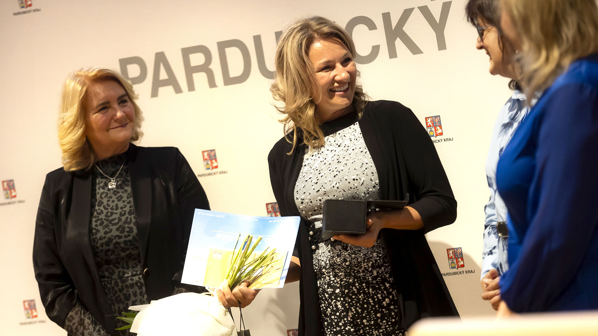 Sestra Pardubického kraje - Galerie